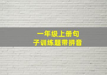 一年级上册句子训练题带拼音