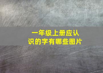 一年级上册应认识的字有哪些图片