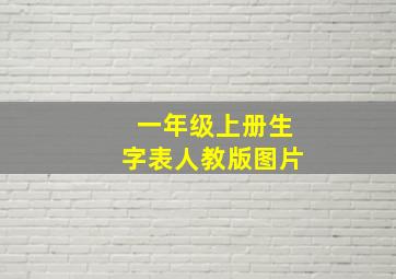 一年级上册生字表人教版图片