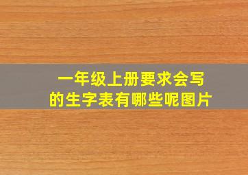 一年级上册要求会写的生字表有哪些呢图片