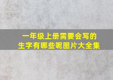 一年级上册需要会写的生字有哪些呢图片大全集