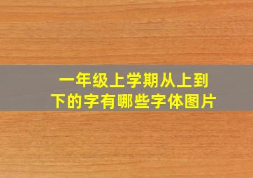 一年级上学期从上到下的字有哪些字体图片