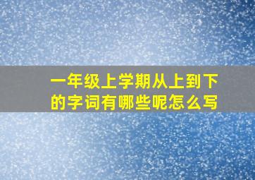 一年级上学期从上到下的字词有哪些呢怎么写