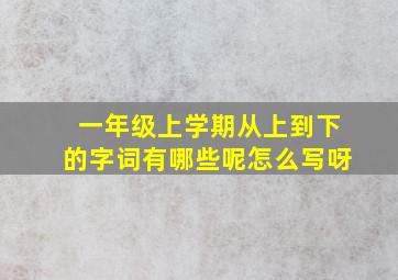 一年级上学期从上到下的字词有哪些呢怎么写呀