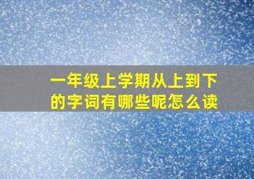 一年级上学期从上到下的字词有哪些呢怎么读