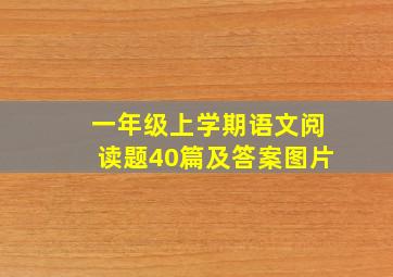 一年级上学期语文阅读题40篇及答案图片