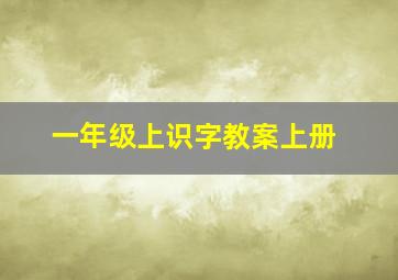 一年级上识字教案上册