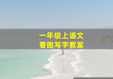 一年级上语文看图写字教案