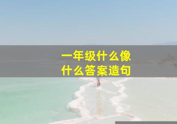 一年级什么像什么答案造句