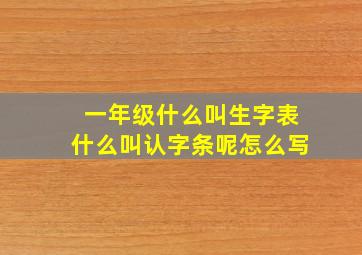 一年级什么叫生字表什么叫认字条呢怎么写