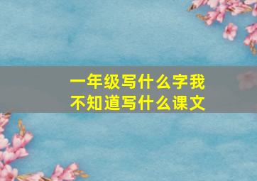 一年级写什么字我不知道写什么课文