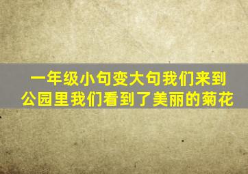 一年级小句变大句我们来到公园里我们看到了美丽的菊花