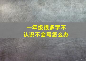 一年级很多字不认识不会写怎么办