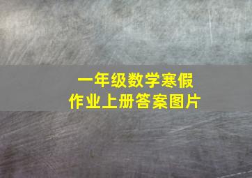 一年级数学寒假作业上册答案图片