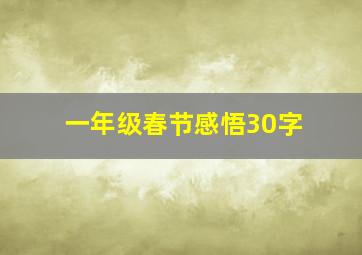 一年级春节感悟30字