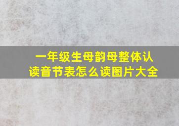 一年级生母韵母整体认读音节表怎么读图片大全