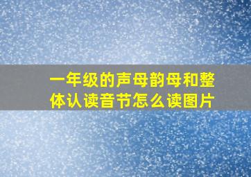 一年级的声母韵母和整体认读音节怎么读图片