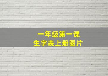 一年级第一课生字表上册图片