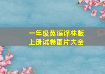 一年级英语译林版上册试卷图片大全