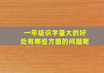 一年级识字量大的好处有哪些方面的问题呢