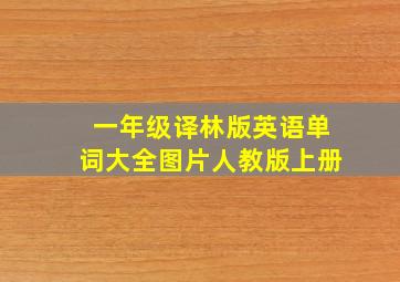 一年级译林版英语单词大全图片人教版上册