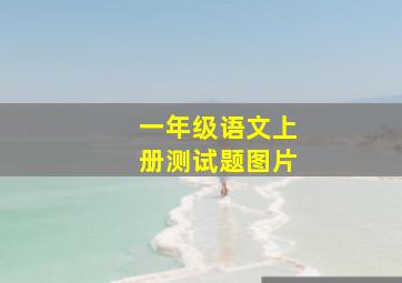 一年级语文上册测试题图片