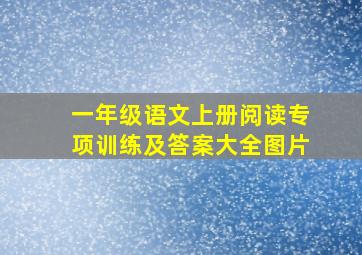 一年级语文上册阅读专项训练及答案大全图片