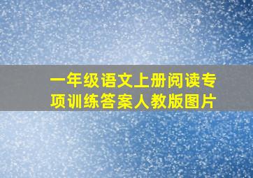 一年级语文上册阅读专项训练答案人教版图片