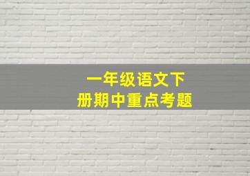 一年级语文下册期中重点考题