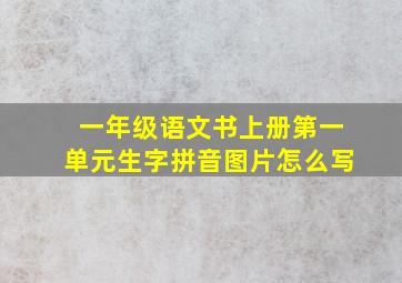 一年级语文书上册第一单元生字拼音图片怎么写