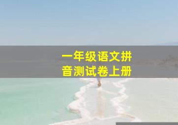 一年级语文拼音测试卷上册