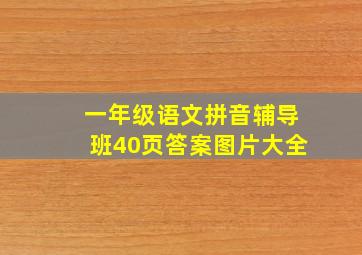 一年级语文拼音辅导班40页答案图片大全