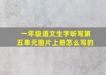 一年级语文生字听写第五单元图片上册怎么写的