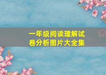 一年级阅读理解试卷分析图片大全集