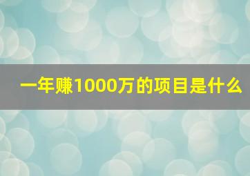 一年赚1000万的项目是什么