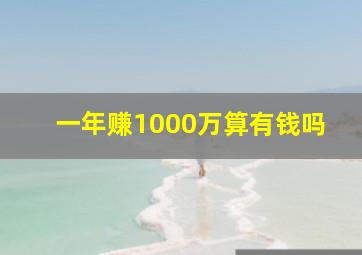 一年赚1000万算有钱吗