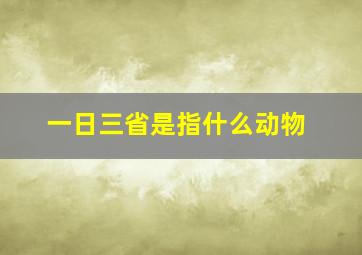 一日三省是指什么动物