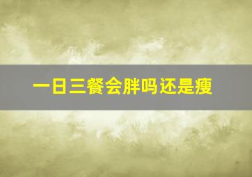 一日三餐会胖吗还是瘦