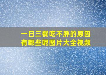 一日三餐吃不胖的原因有哪些呢图片大全视频