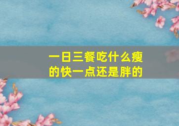 一日三餐吃什么瘦的快一点还是胖的