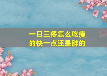 一日三餐怎么吃瘦的快一点还是胖的