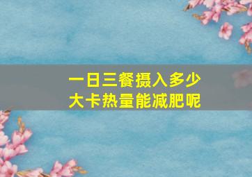 一日三餐摄入多少大卡热量能减肥呢