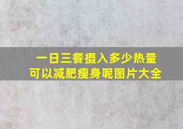 一日三餐摄入多少热量可以减肥瘦身呢图片大全