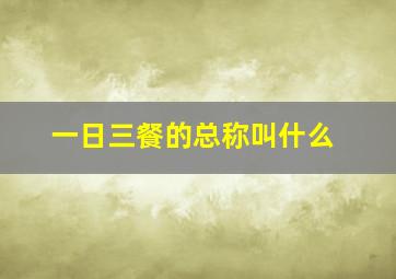 一日三餐的总称叫什么