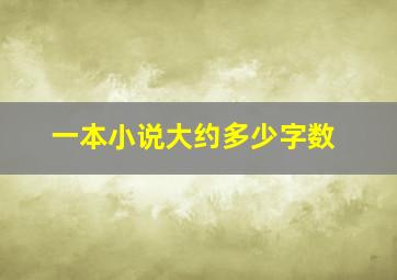 一本小说大约多少字数