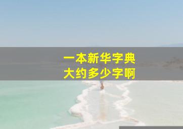 一本新华字典大约多少字啊