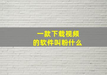 一款下载视频的软件叫粉什么