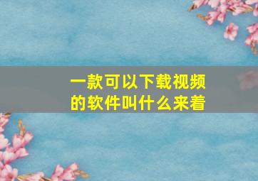 一款可以下载视频的软件叫什么来着