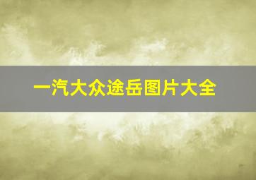 一汽大众途岳图片大全