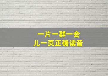 一片一群一会儿一页正确读音